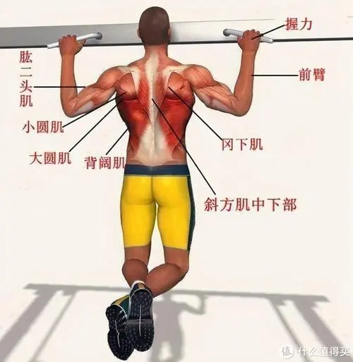 <strong>米乐：法网拍和普通网球拍的区别</strong>
